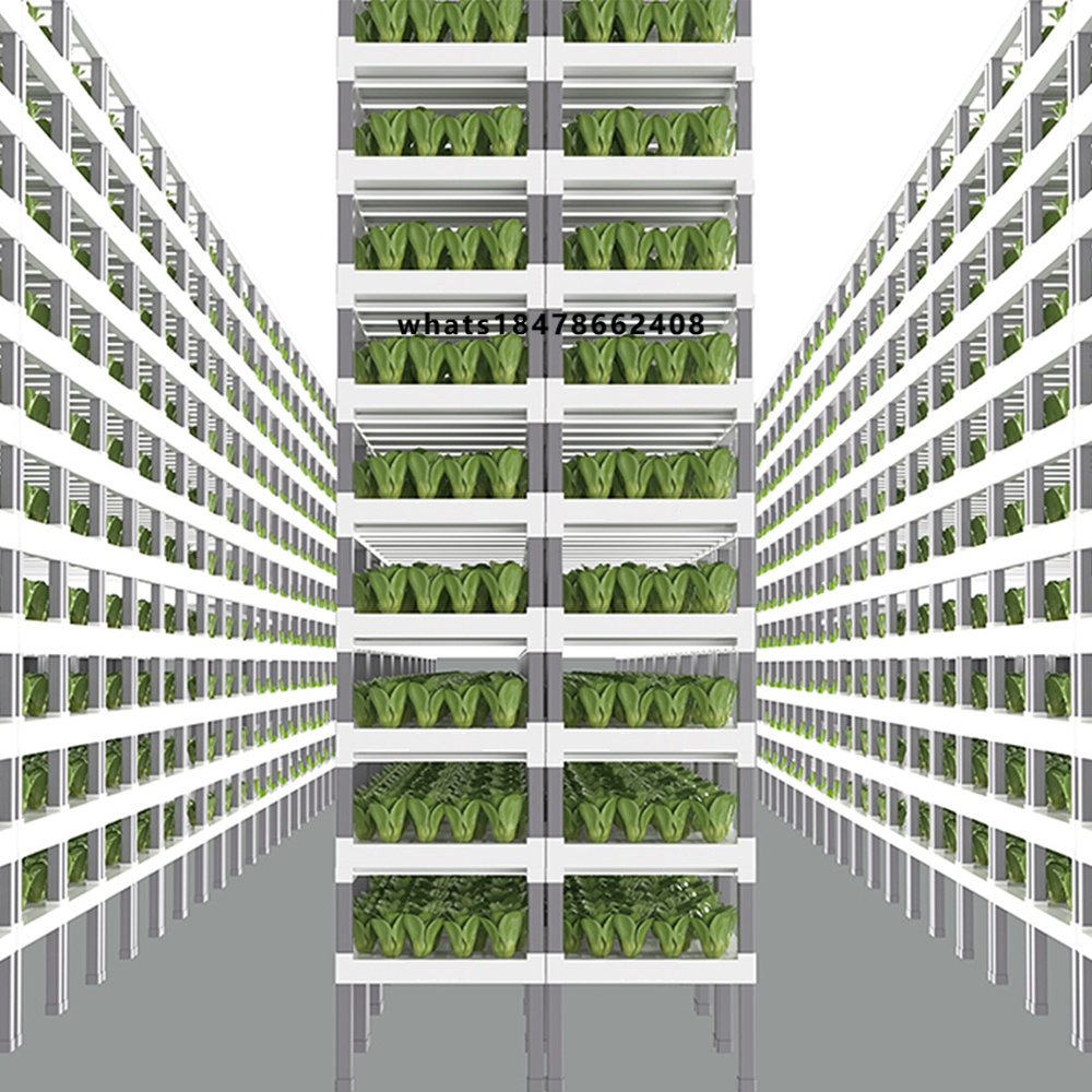 Sistema Hidropônico Inteligent - Farming A avaliação e preço