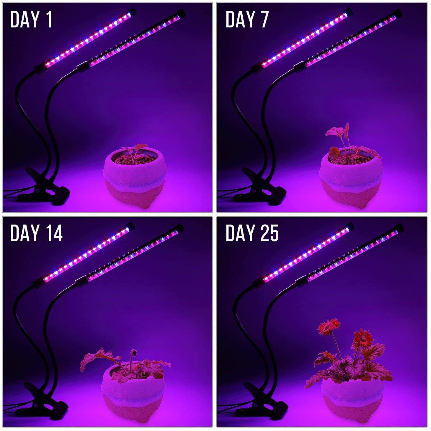 Usb led planta crescer luz jar - Plant Growth Regulator avaliação e preço
