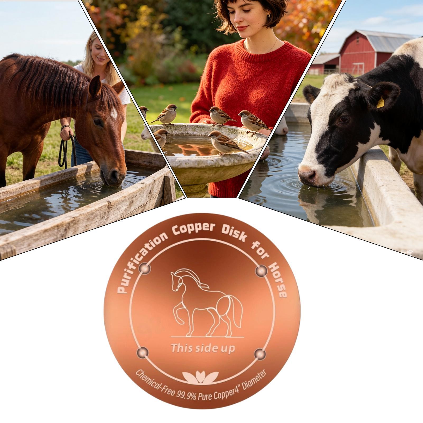 Placa Purificadora de Cobre de - Farming A avaliação e preço