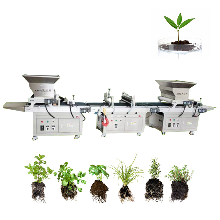 Máquina de Transplante de Vege - Agriculture Tomato Farming avaliação e preço