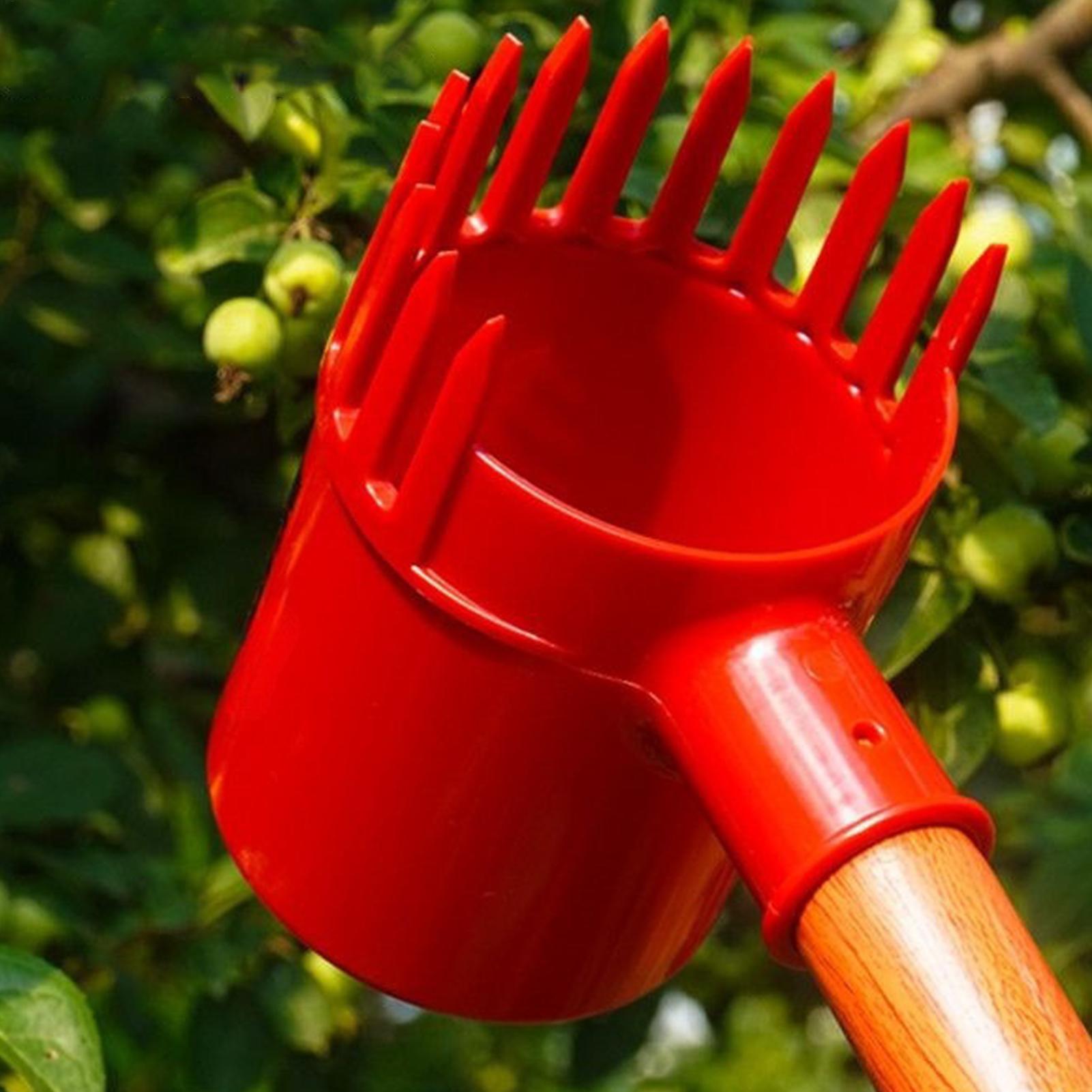 Colhedor de Frutas Portátil: F - Agriculture Tomato Farming avaliação e preço