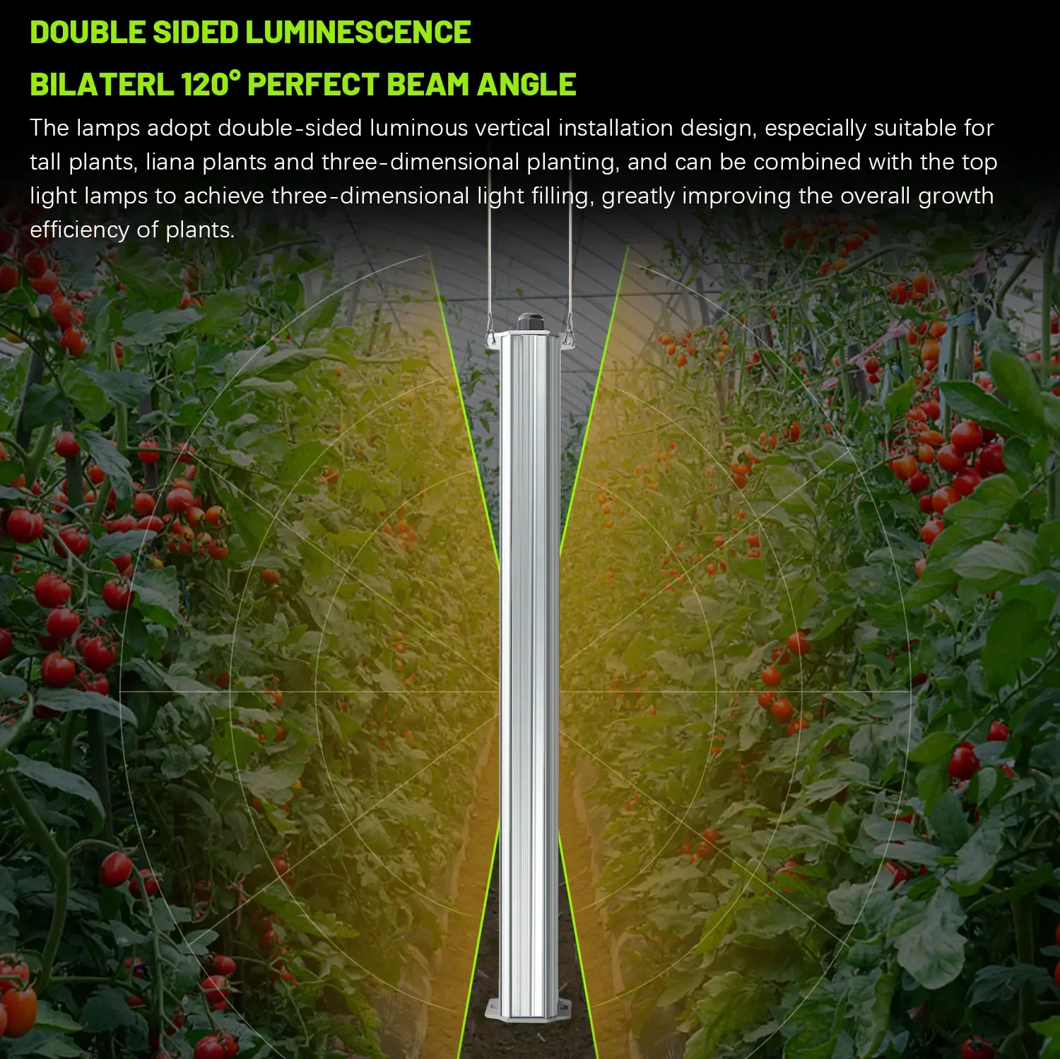 Melhor Sistema de Cultivo Vert - Agriculture Tomato Farming avaliação e preço