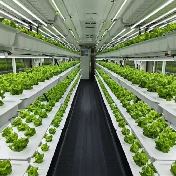 Sistema de Cultivo de Vegetais - Farming A avaliação e preço