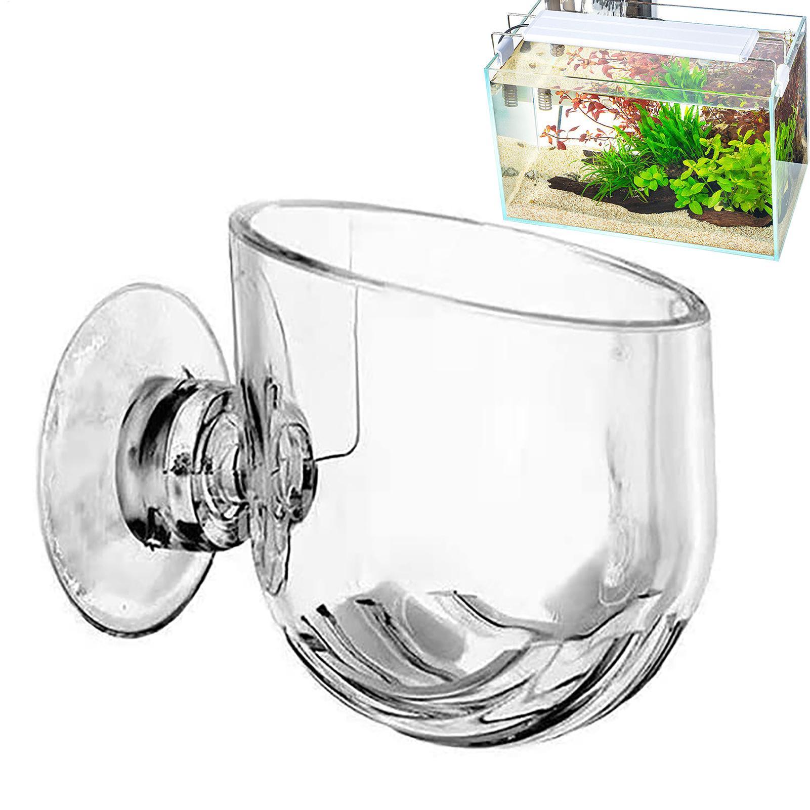 Vaso de Planta Aquática em Acr - Plant Growth Regulator avaliação e preço