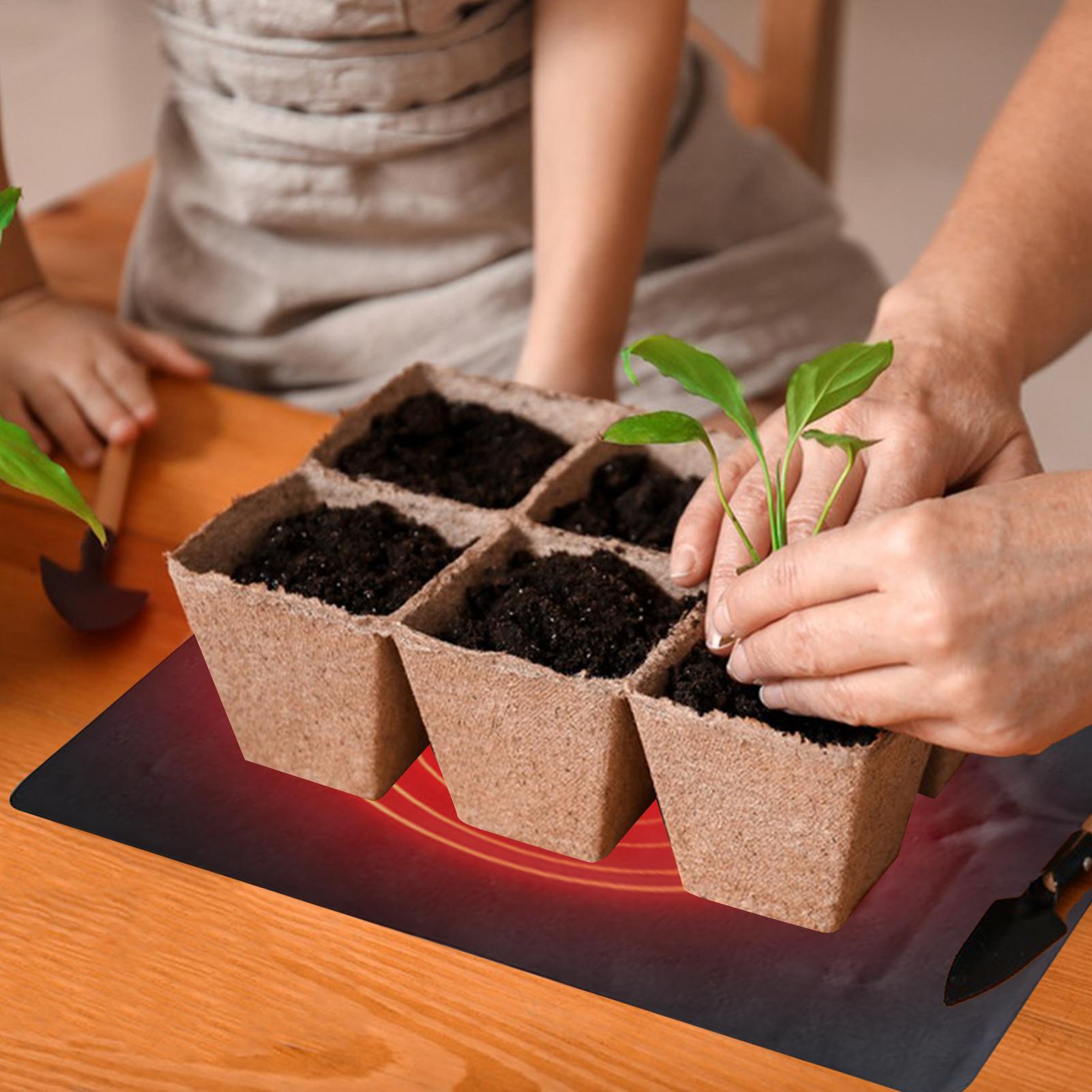 Tapete Térmico para Sementes 8 - Plant Growth Regulator avaliação e preço