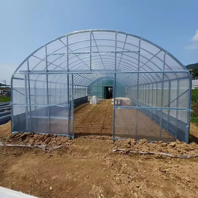 Estufas Agrícolas de Vão Único - Agriculture Tomato Farming avaliação e preço