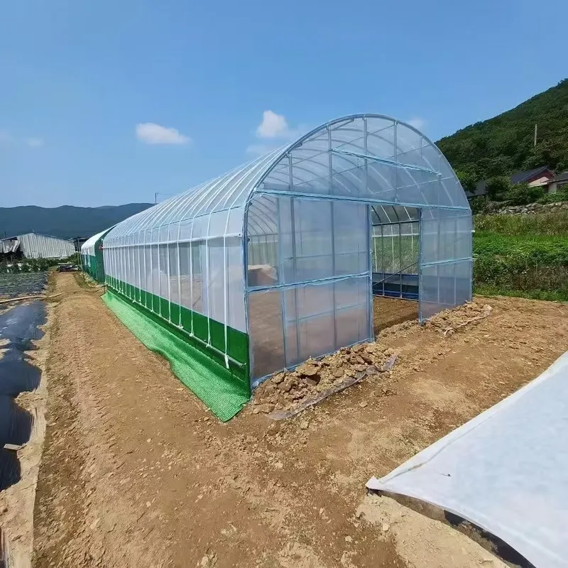 Estufas Agrícolas de Vão Único - Agriculture Tomato Farming avaliação e preço