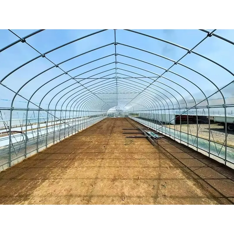 Estufas Agrícolas de Vão Único - Agriculture Tomato Farming avaliação e preço