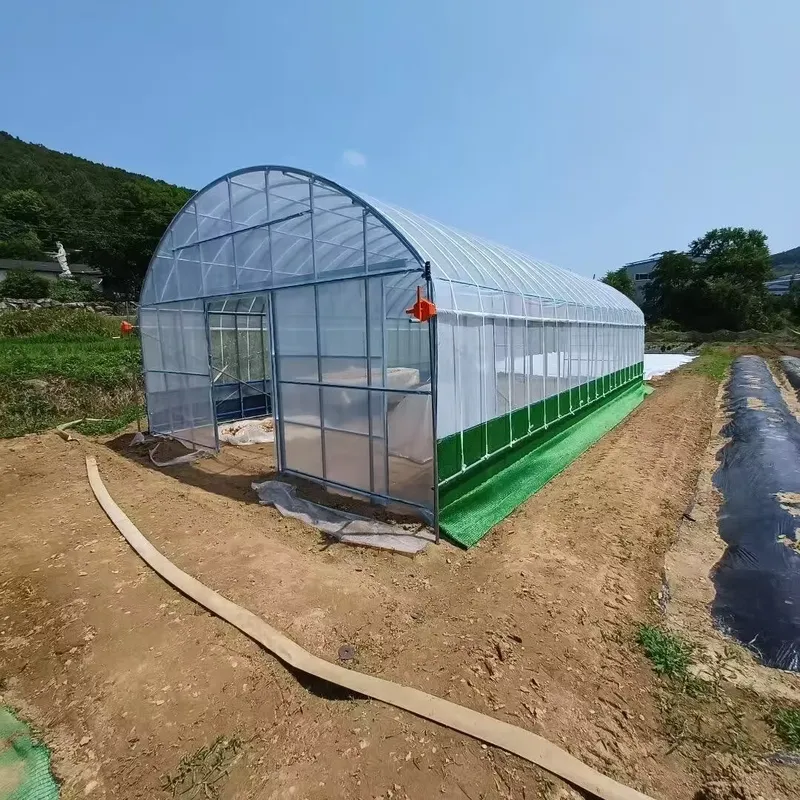 Estufas Agrícolas de Vão Único - Agriculture Tomato Farming avaliação e preço